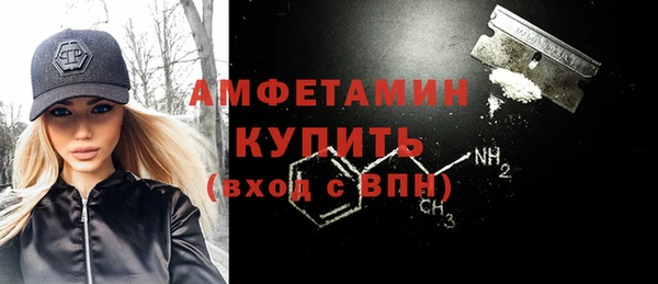 гидра Елабуга