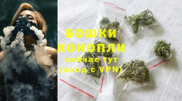 гидра Елабуга