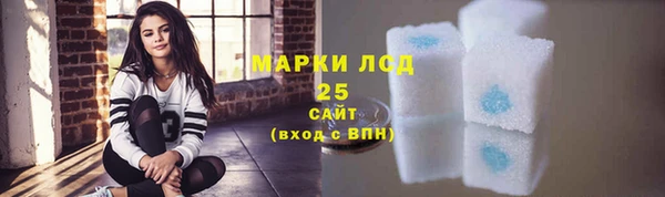 прущая мука Ельня
