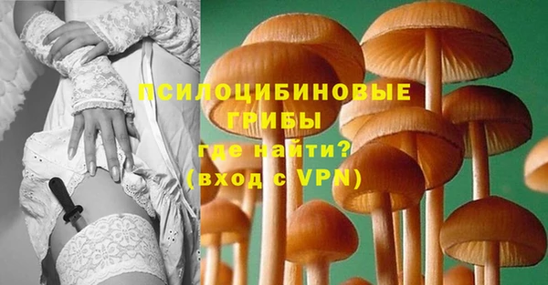 гидра Фурманов