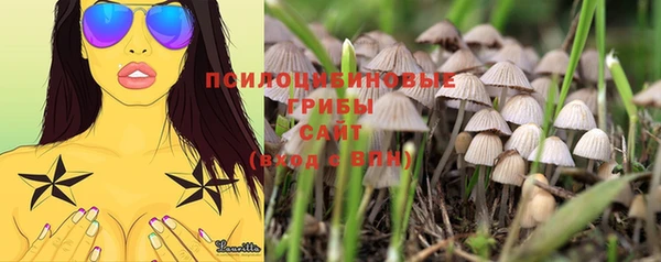 MDMA Premium VHQ Дмитровск
