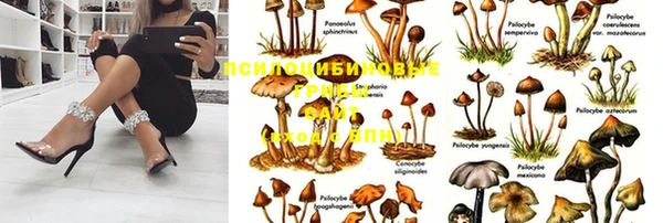 спиды Дмитров