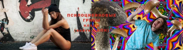 марихуана Дмитриев