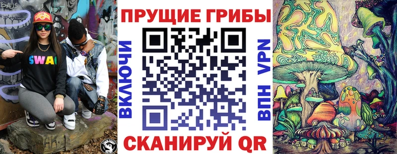Псилоцибиновые грибы Psilocybe  Катайск 